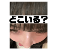 815241638
