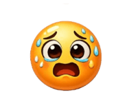 815274242