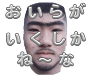 815282753