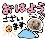 815291210