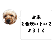 815291234