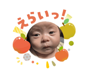 815295603