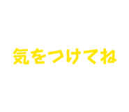 815299992