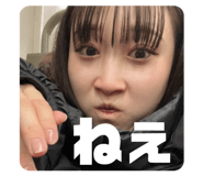 815306617