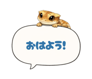 815336258