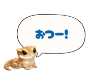 815336262
