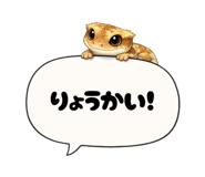 815336264