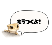 815336269