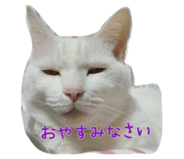 815350165