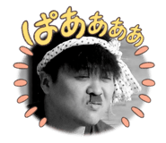 815375567