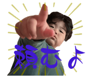 815376231