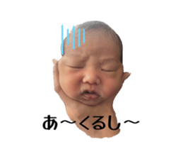 815393081