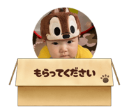 815418635