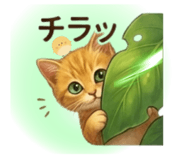 815436534