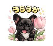 815444294
