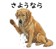 815448123