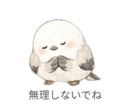815450234