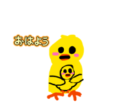 815462905