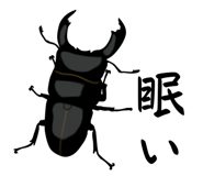 815473775
