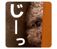 815477064