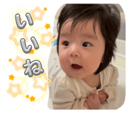 815483514