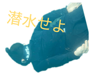 815489241