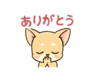 815498252