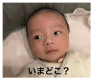 815498351
