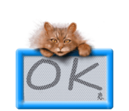 815508465