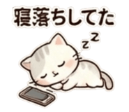 815510841