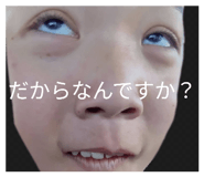 815520254