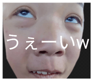 815520255