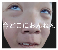 815520256