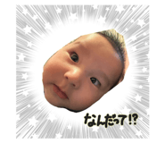 815526321