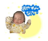 815526331