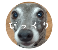 815528727