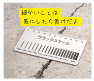 815579539
