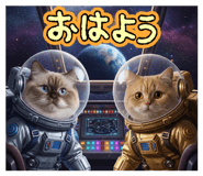 815599747