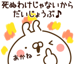 81562342
