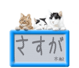 815631567