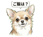 815642138