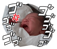 815648370