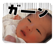 815648375