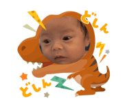 815652502