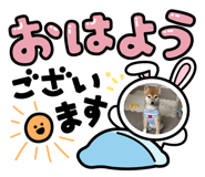 815653604