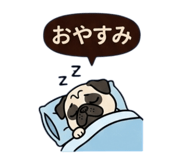 815657146