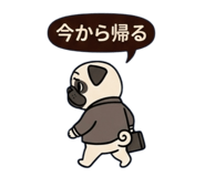 815657149