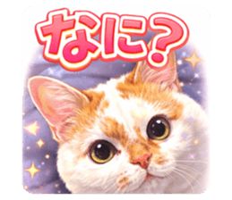 815659931