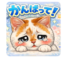 815659934