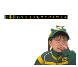 815664537